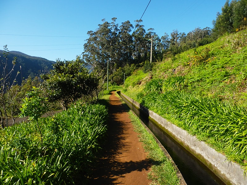 levada da ribeira da janela porto moniz