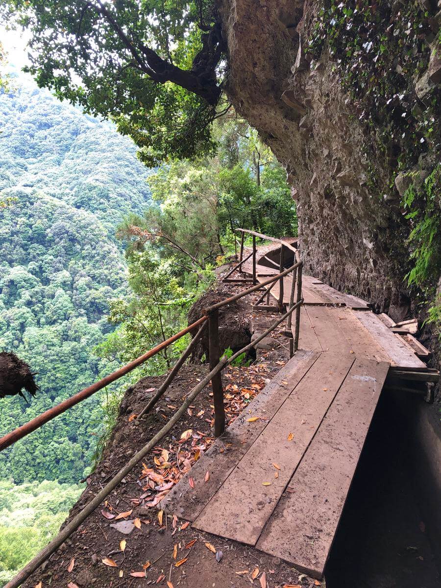 levada ribeira da janela porto moniz madeira 1