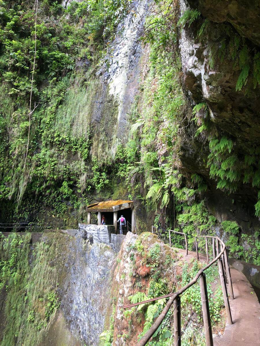 levada ribeira da janela porto moniz madeira 6