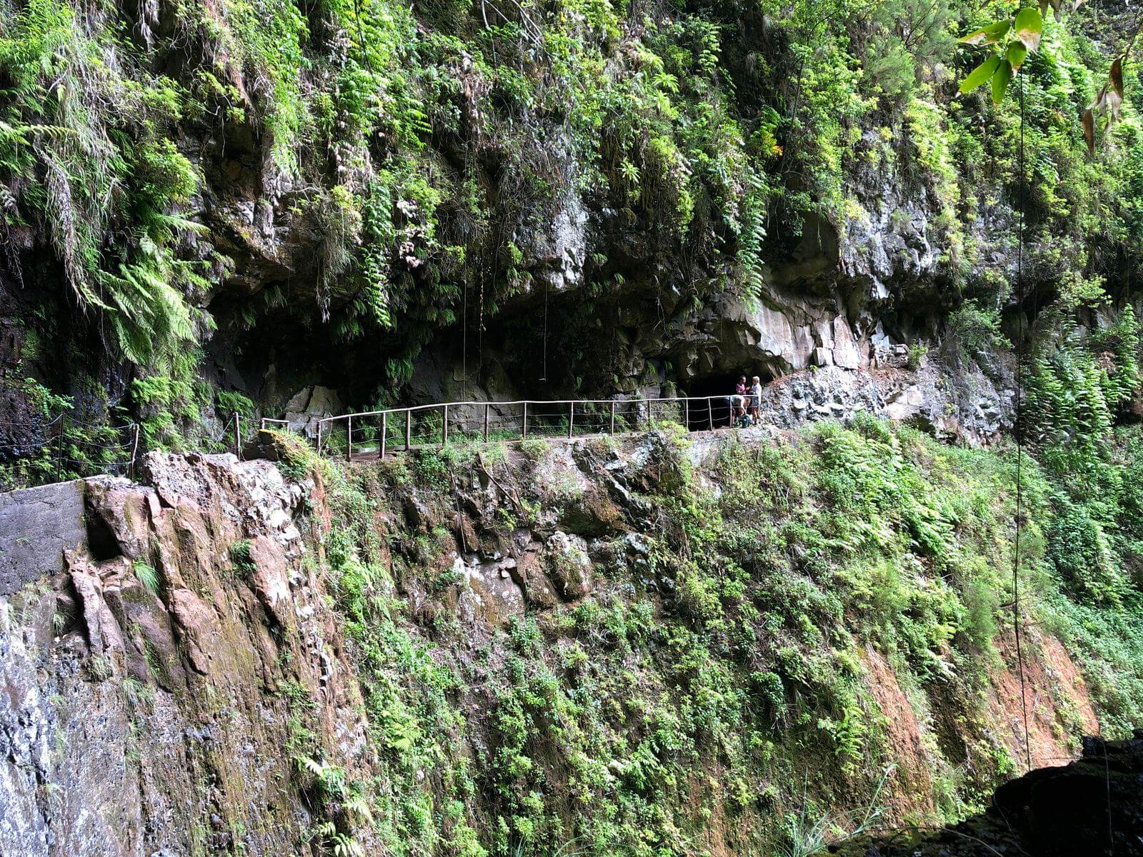 levada ribeira da janela porto moniz madeira 7