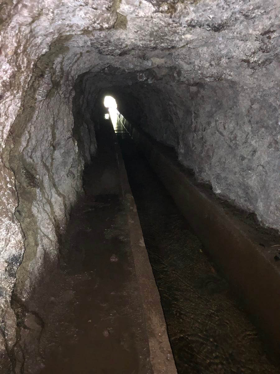 levada ribeira da janela porto moniz madeira 8