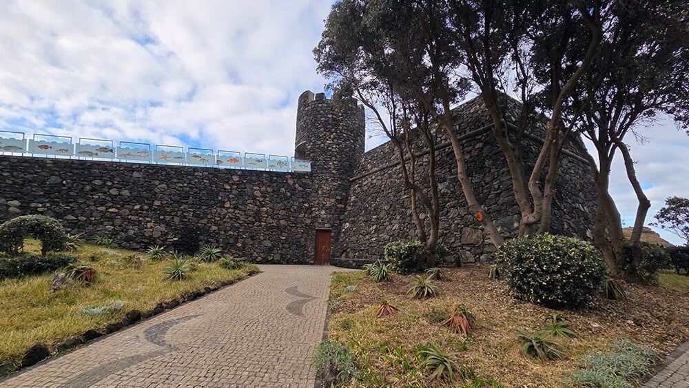 madeira aquarium porto moniz madeira 1