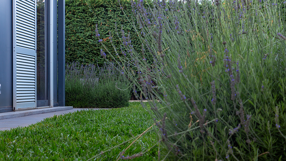 the-jolie-a-retreat-in-the-city-garden (22) the jolie a retreat in the city garden 22