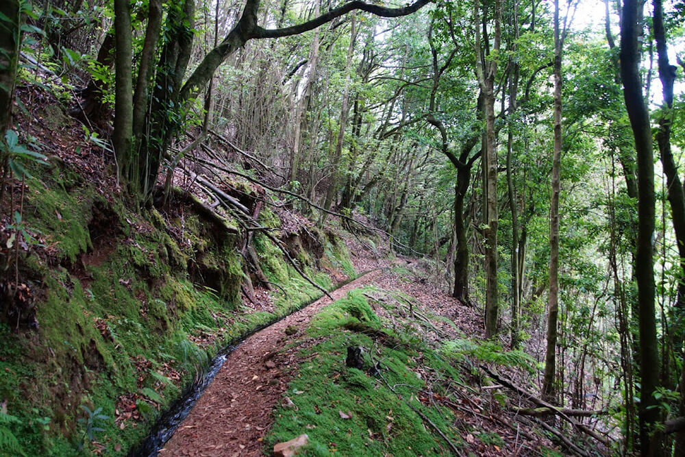 pr7 levada do moinho porto moniz madeira 7