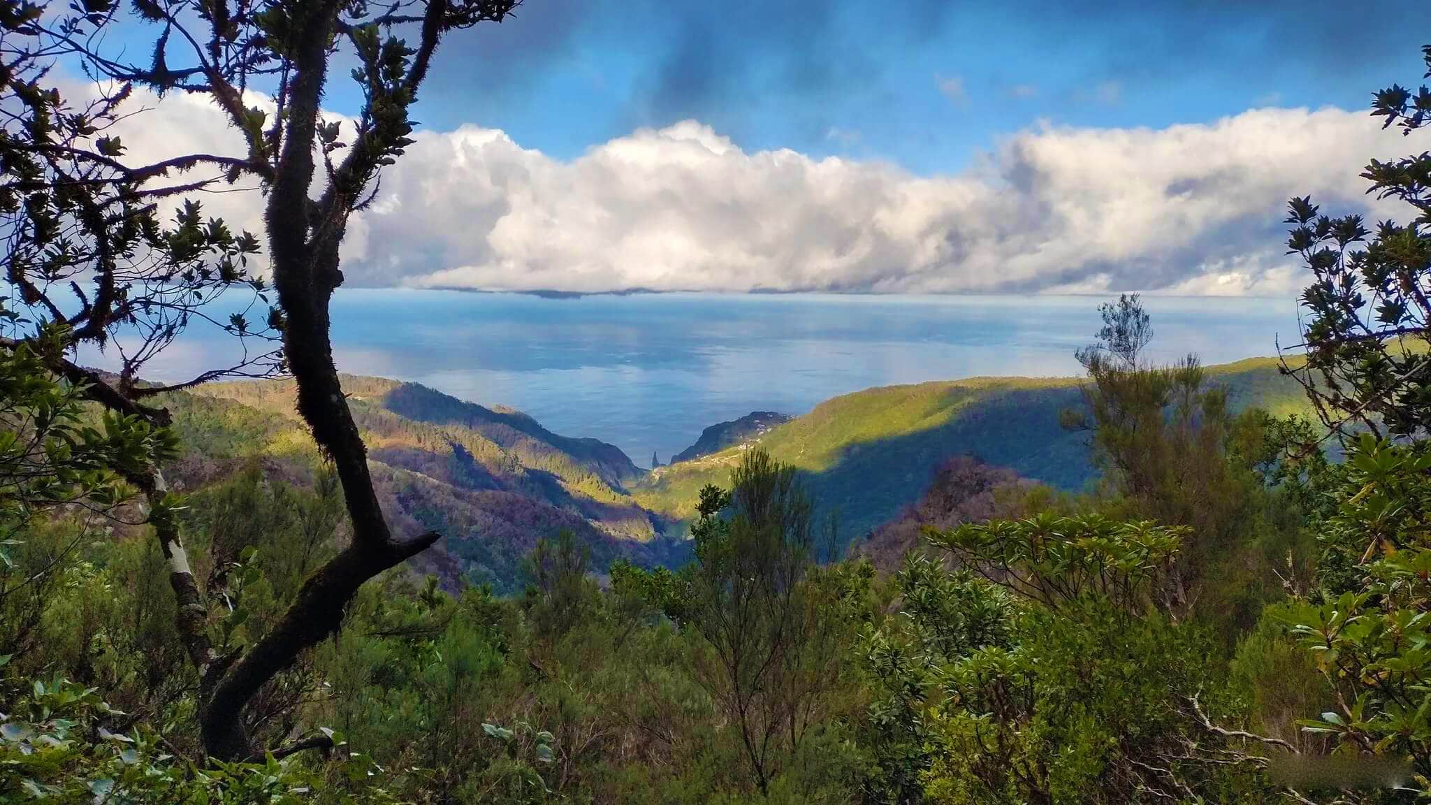 levada do brasileiro porto moniz 1