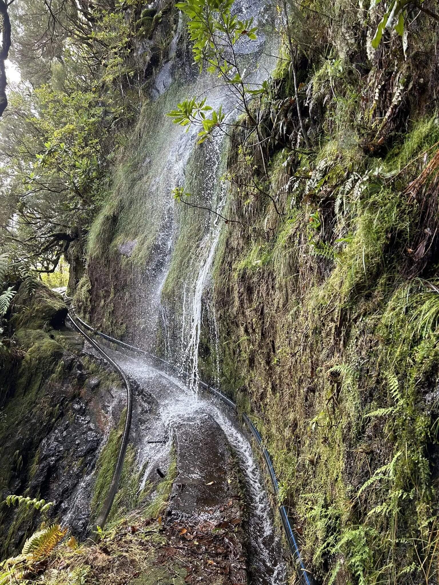 levada do brasileiro porto moniz 5
