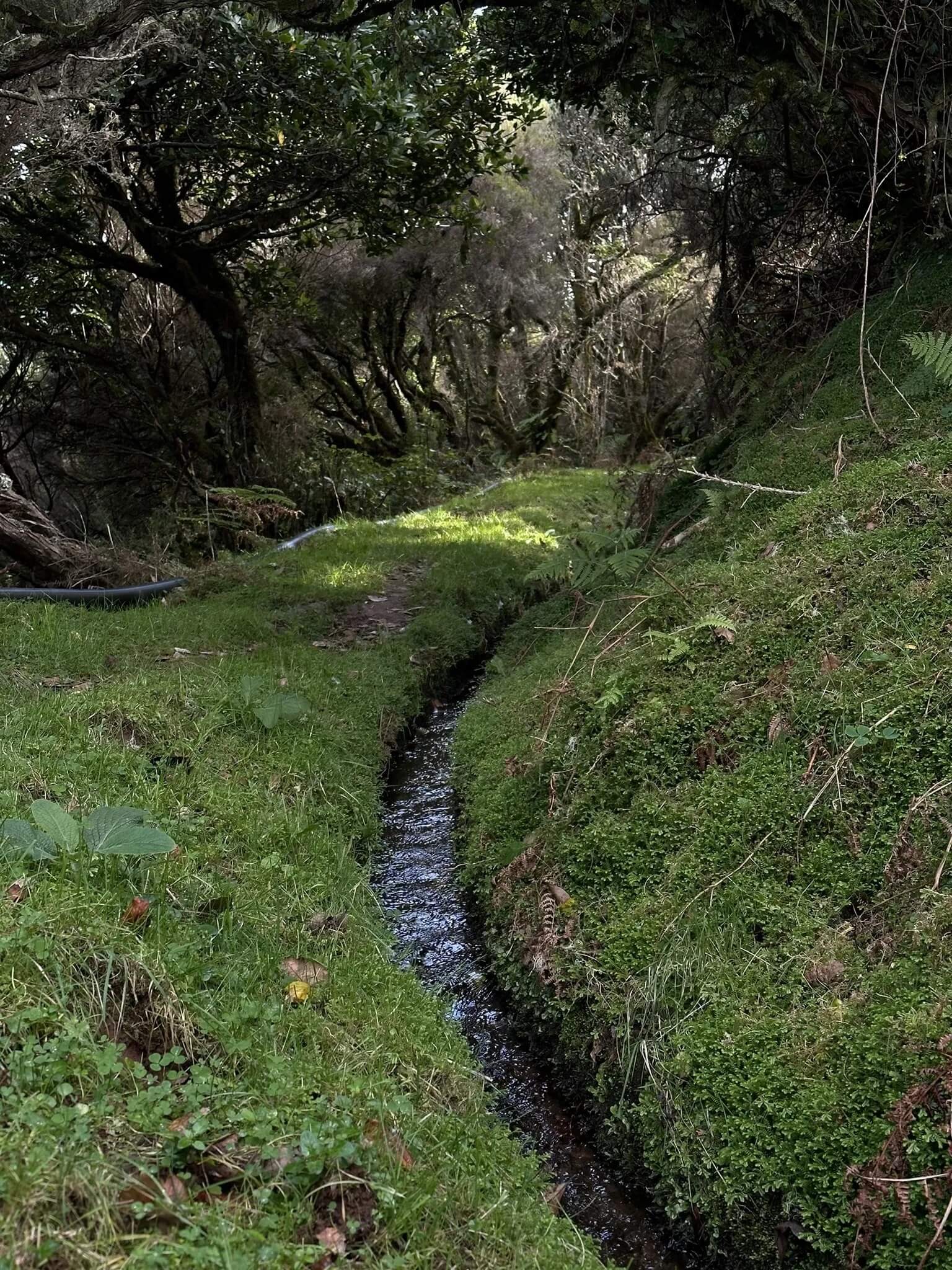 levada do brasileiro porto moniz 6