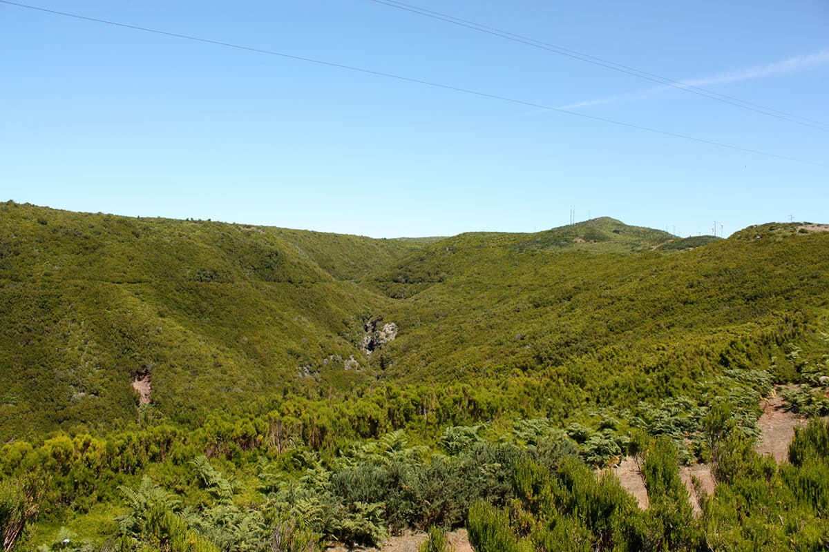 vereda do alecrim madeira island 3