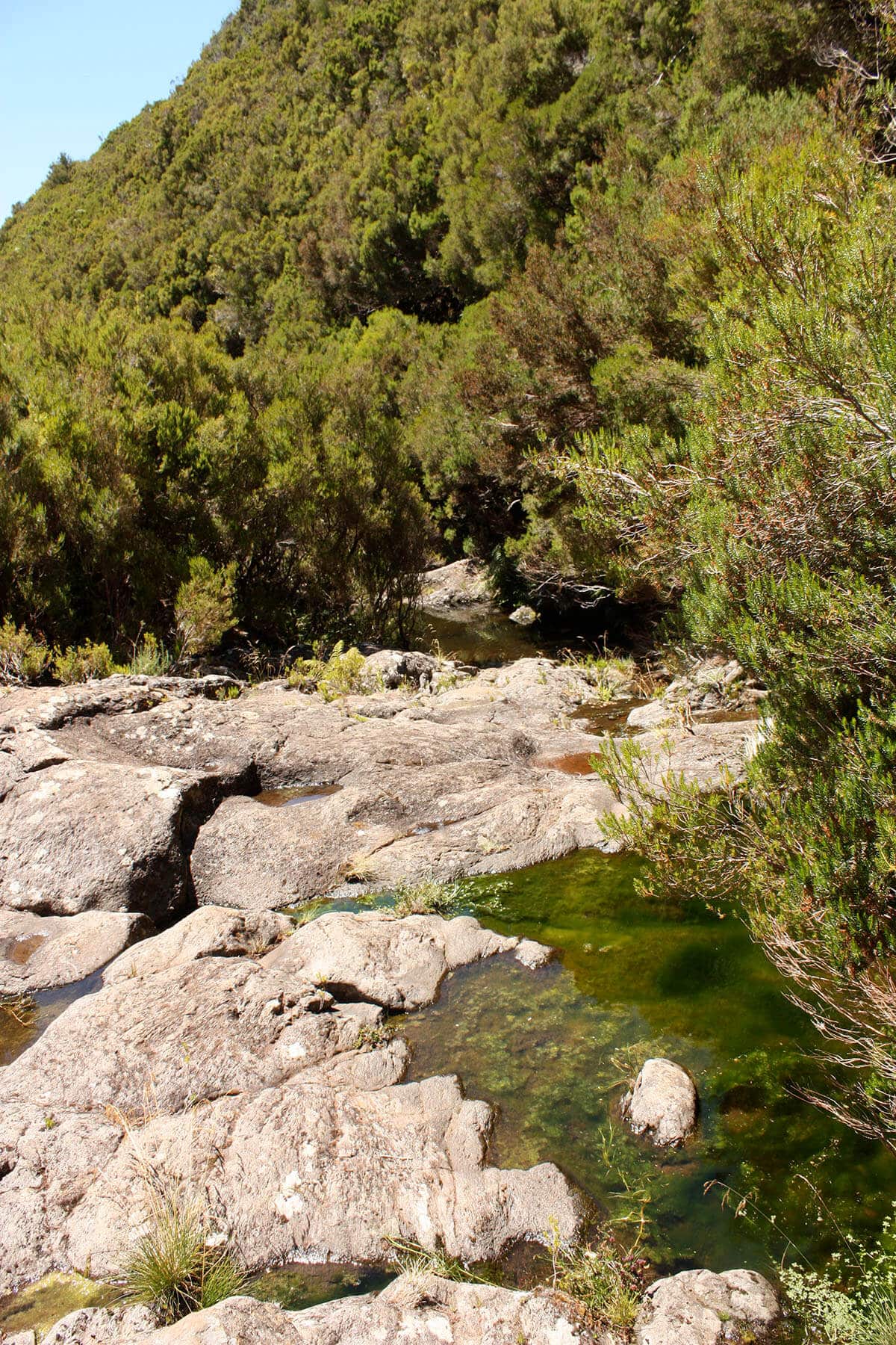 vereda do alecrim madeira island 4