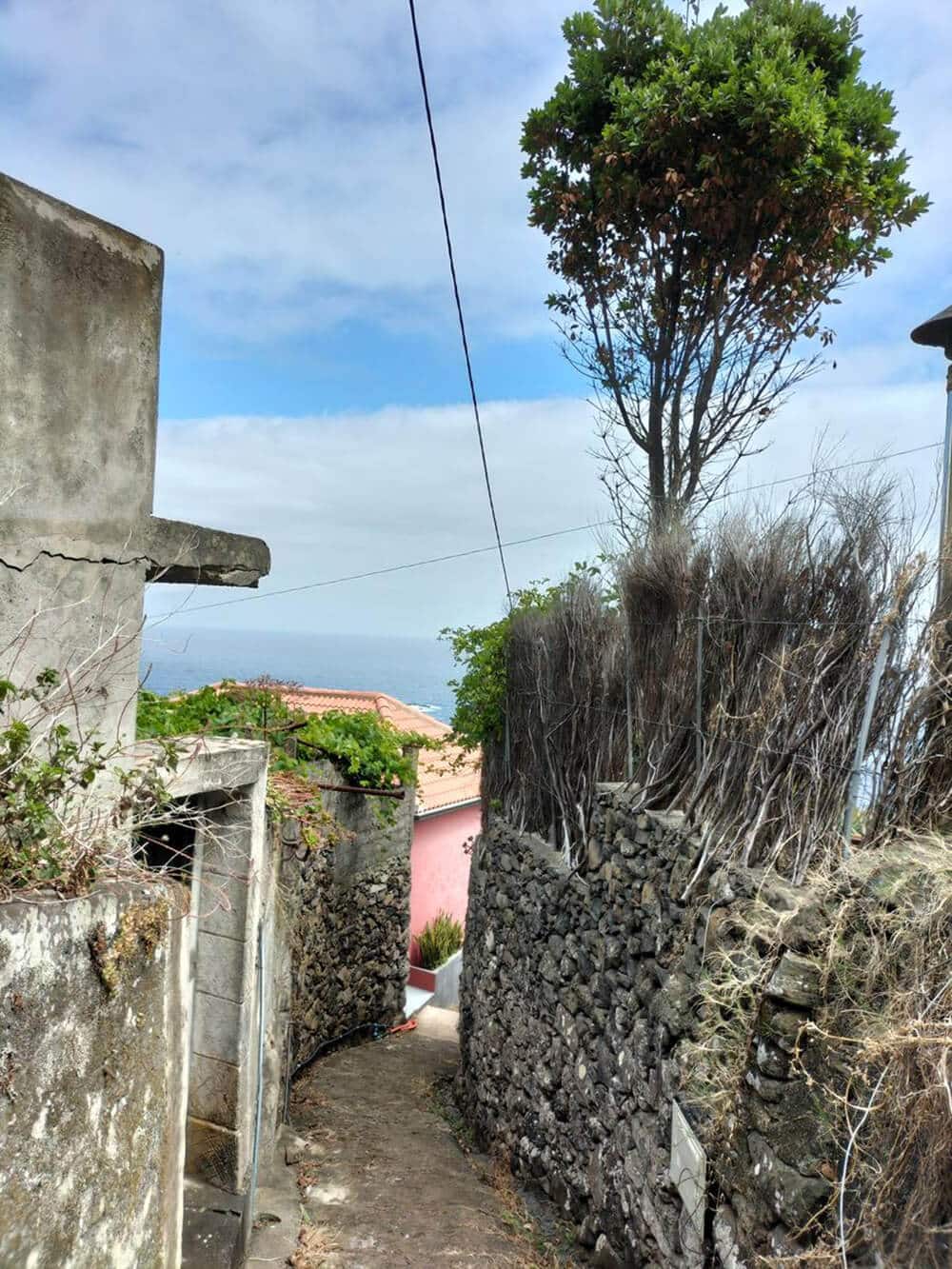 veredda do pico porto moniz 1