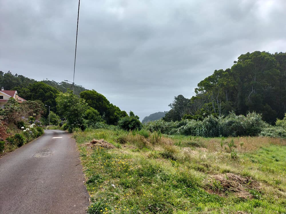 veredda do pico porto moniz 2